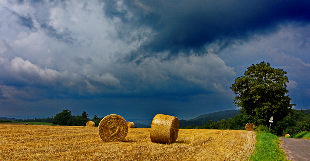 Vor dem Gewitter