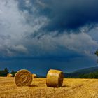 Vor dem Gewitter