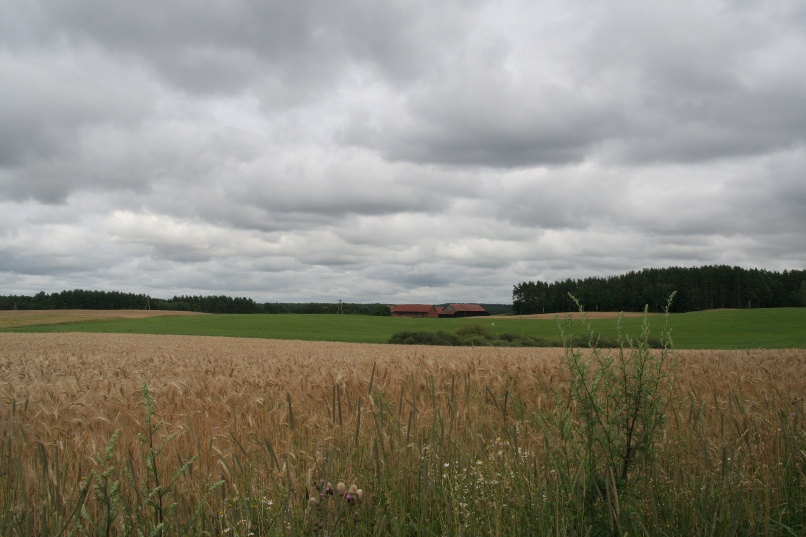 vor dem Gewitter