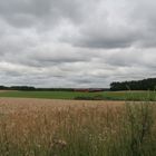 vor dem Gewitter