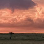 Vor dem Gewitter