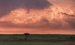 Vor dem Gewitter