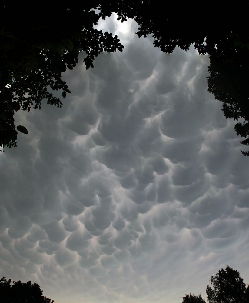 vor dem Gewitter