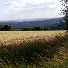 Vor dem Gewitter