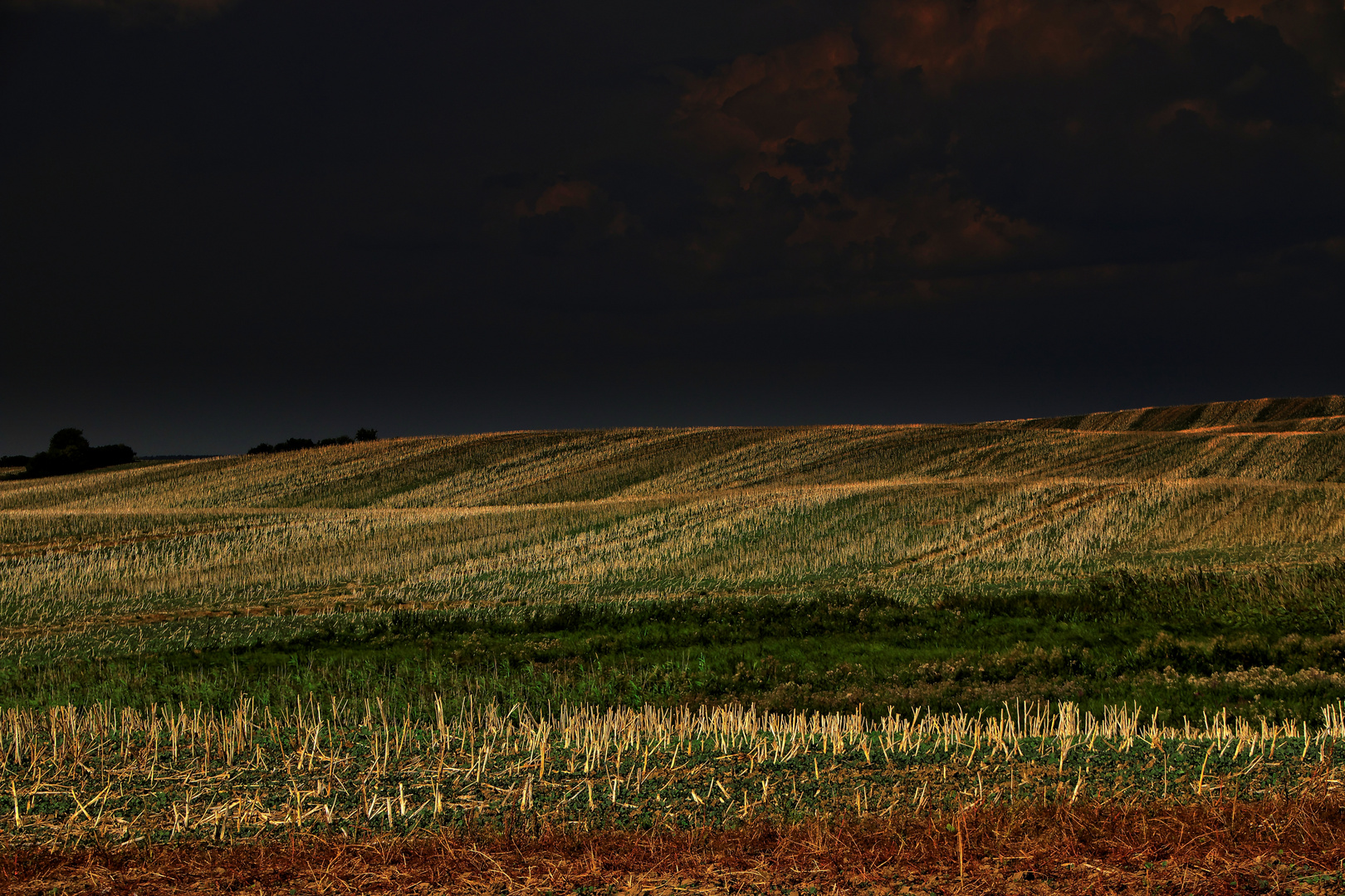 Vor dem Gewitter