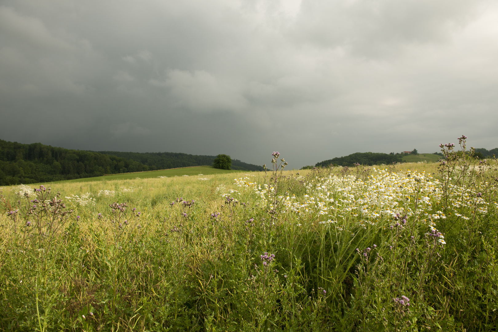 Vor dem Gewitter...