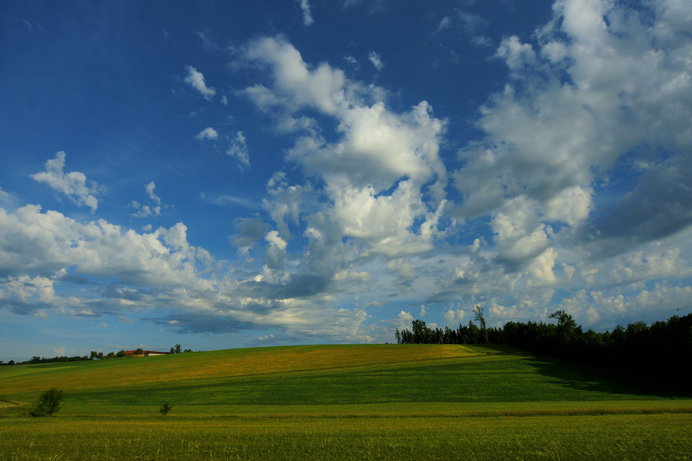 Vor dem Gewitter