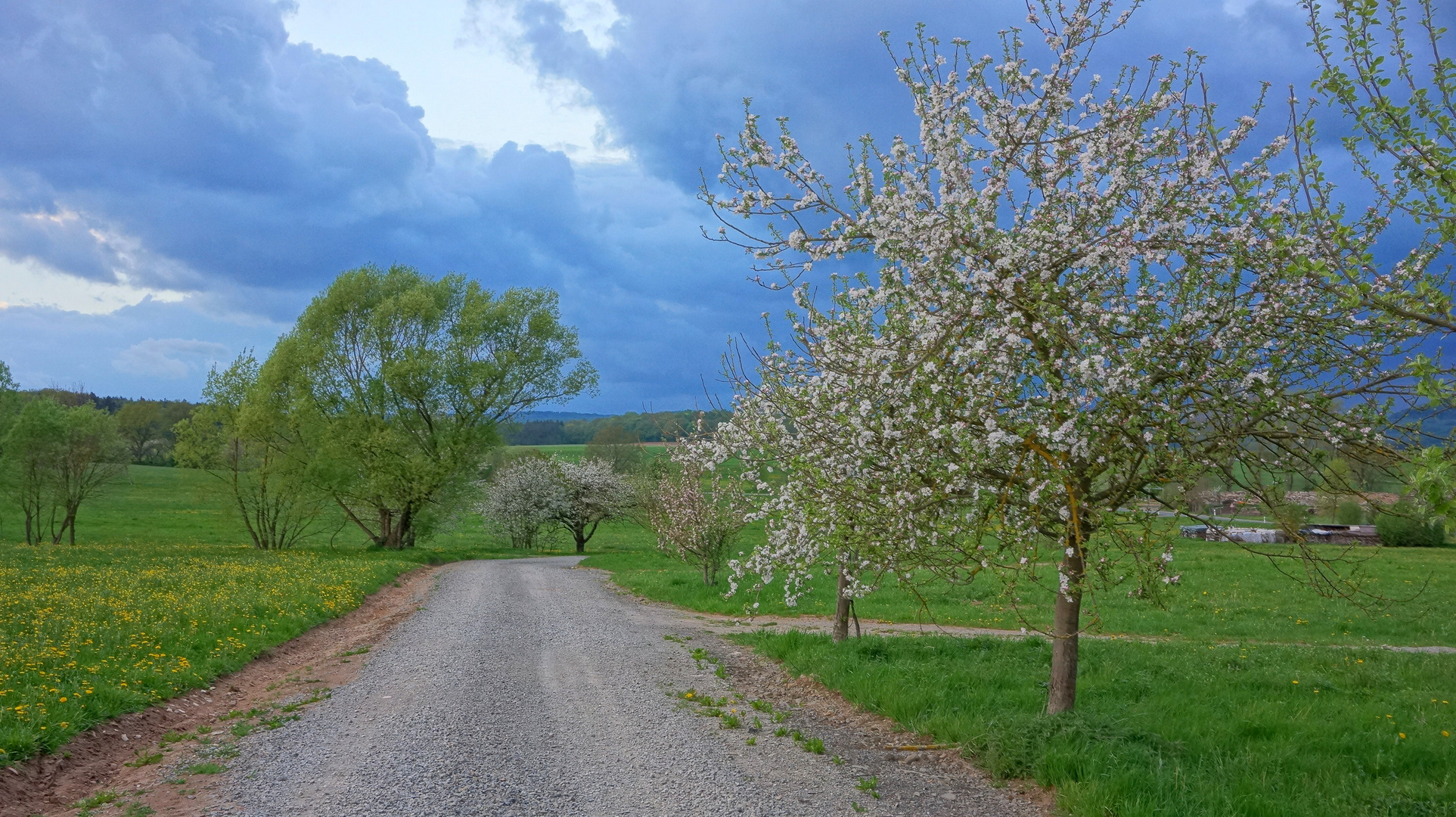 vor dem Gewitter, 5 (antes de la tormenta, 5)