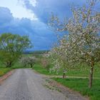 vor dem Gewitter, 5 (antes de la tormenta, 5)