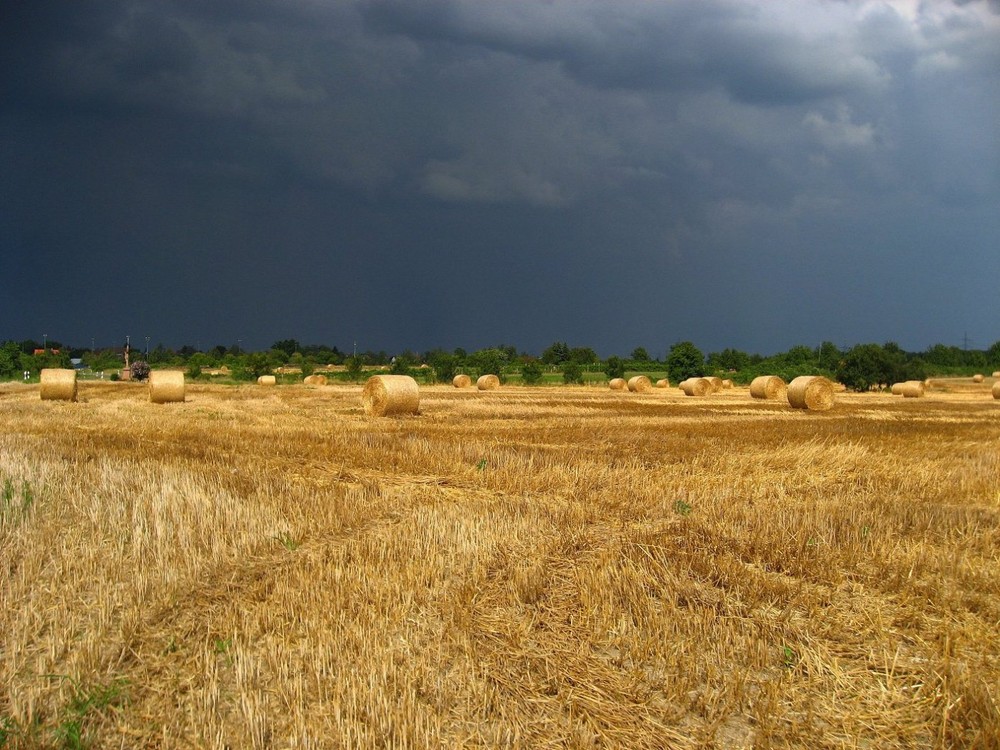 Vor dem Gewitter....