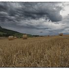 Vor dem Gewitter