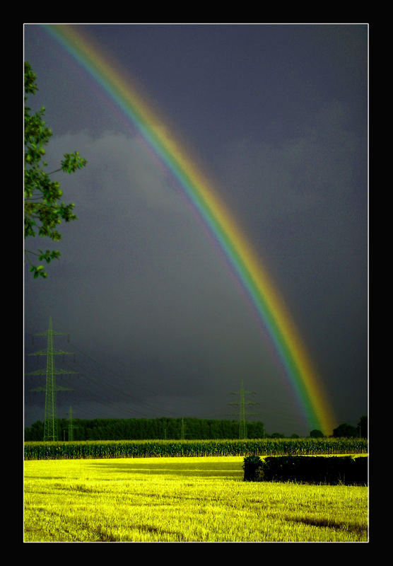 vor dem Gewitter