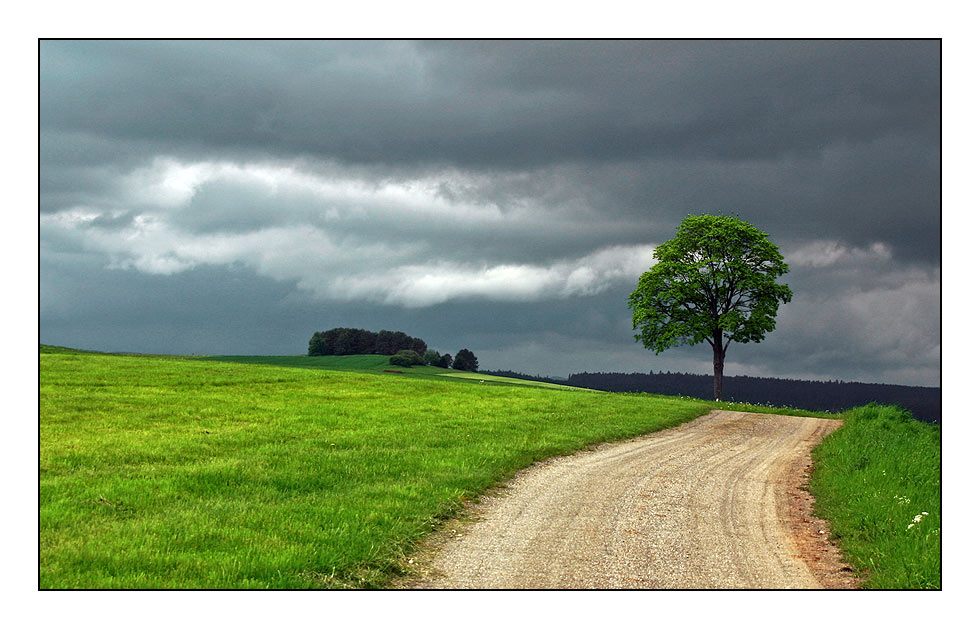 Vor dem Gewitter......