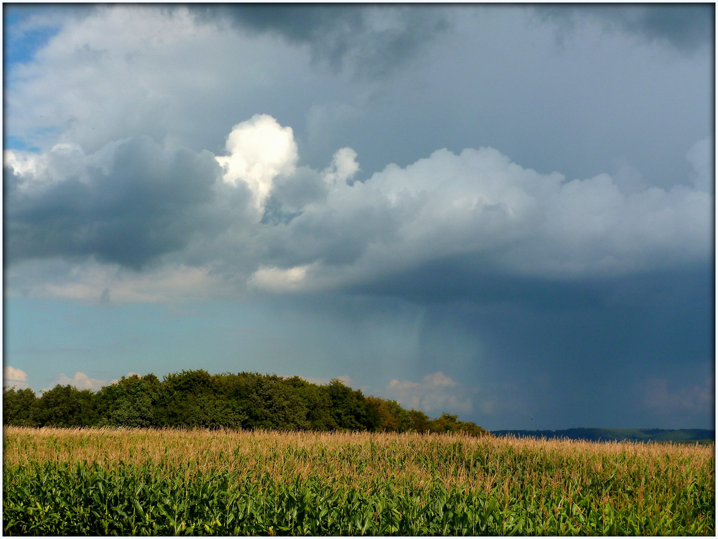 Vor dem Gewitter