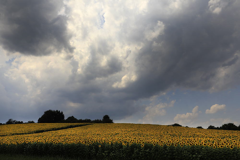 vor dem Gewitter