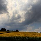 vor dem Gewitter