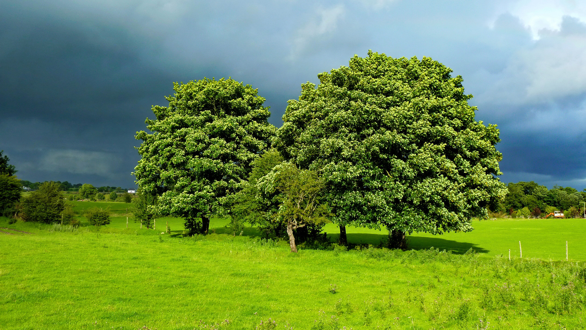 vor dem Gewitter...