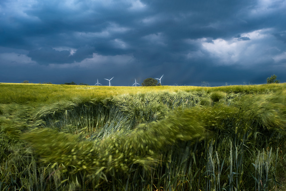 vor dem Gewitter