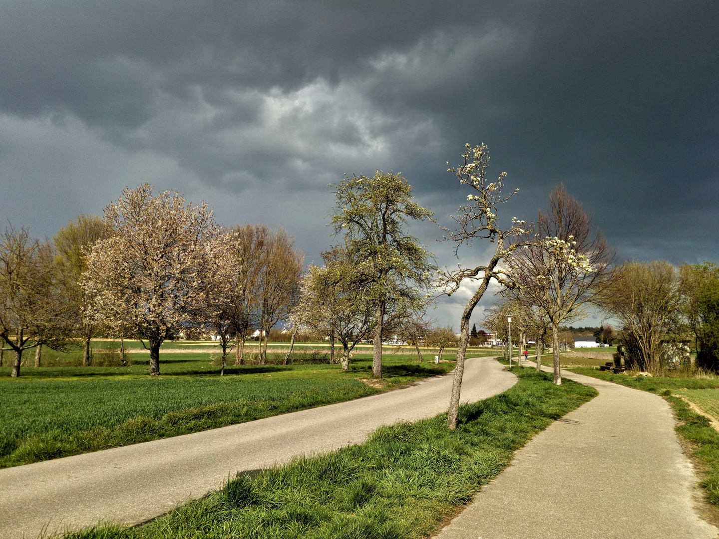 Vor dem Gewitter