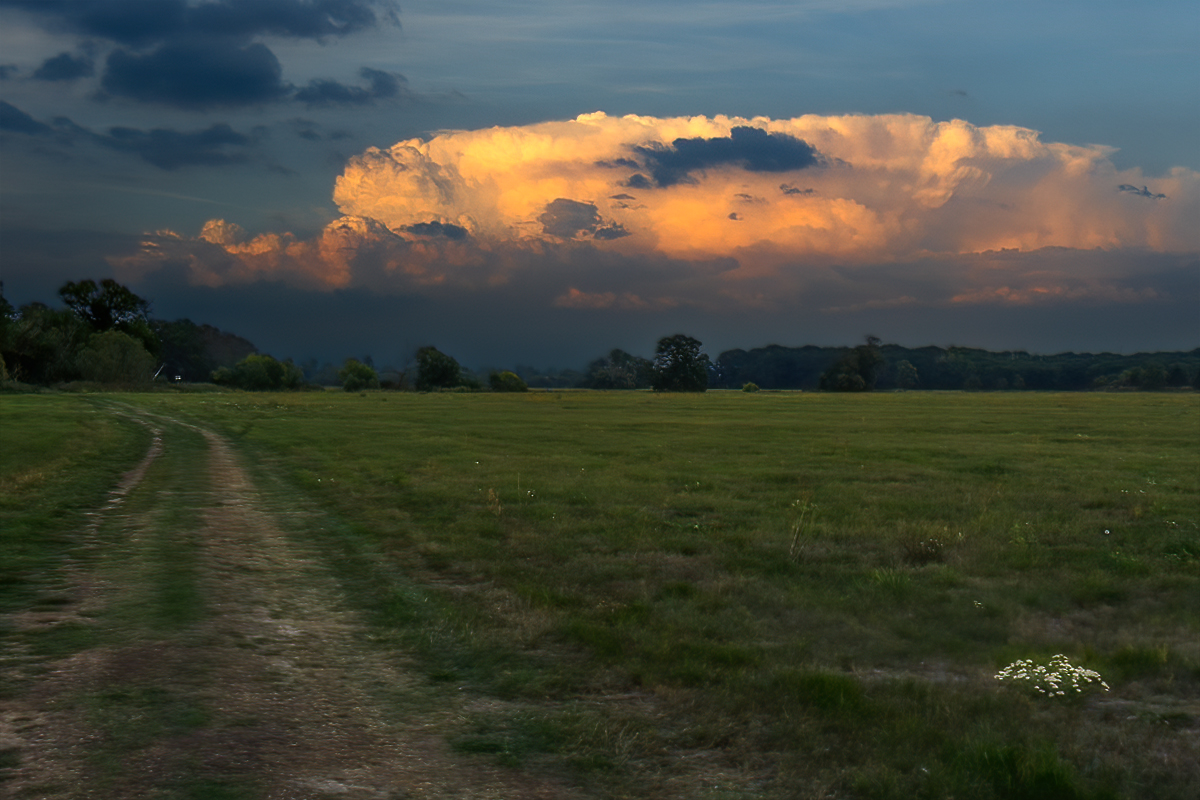 ... vor dem Gewitter ...