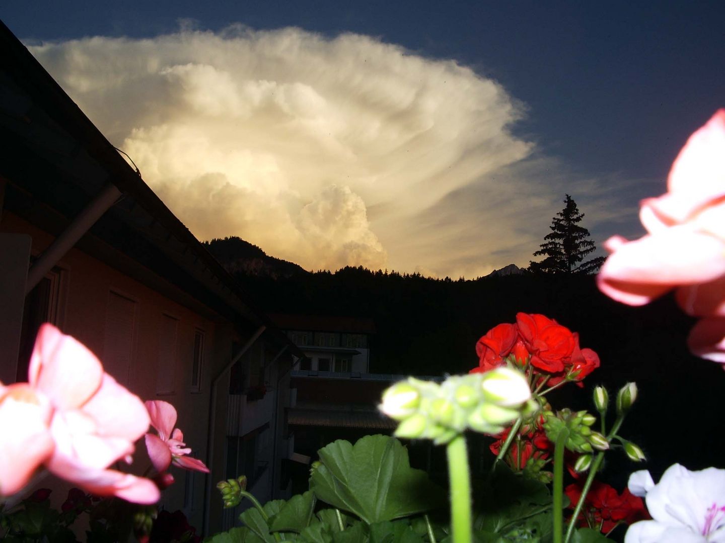 Vor dem Gewitter