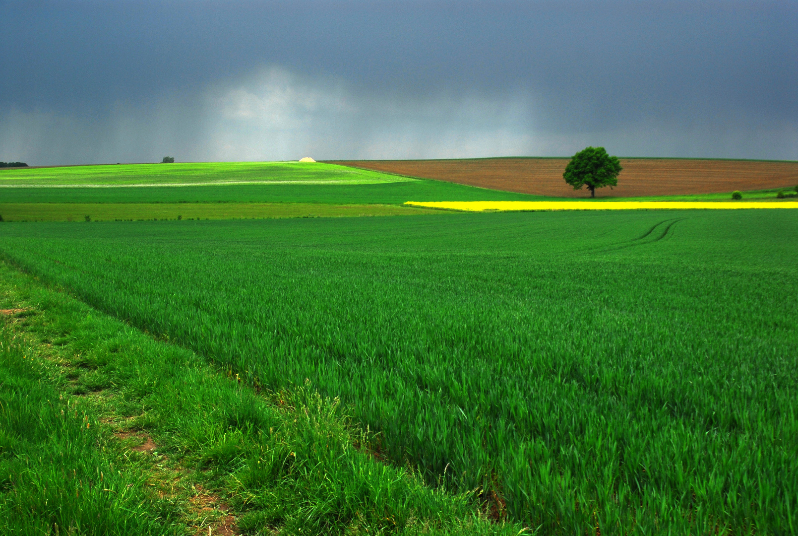 vor dem Gewitter