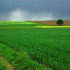 vor dem Gewitter