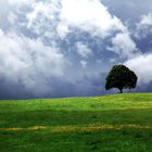 vor dem Gewitter am Irschenberg