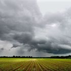 Vor dem Gewitter