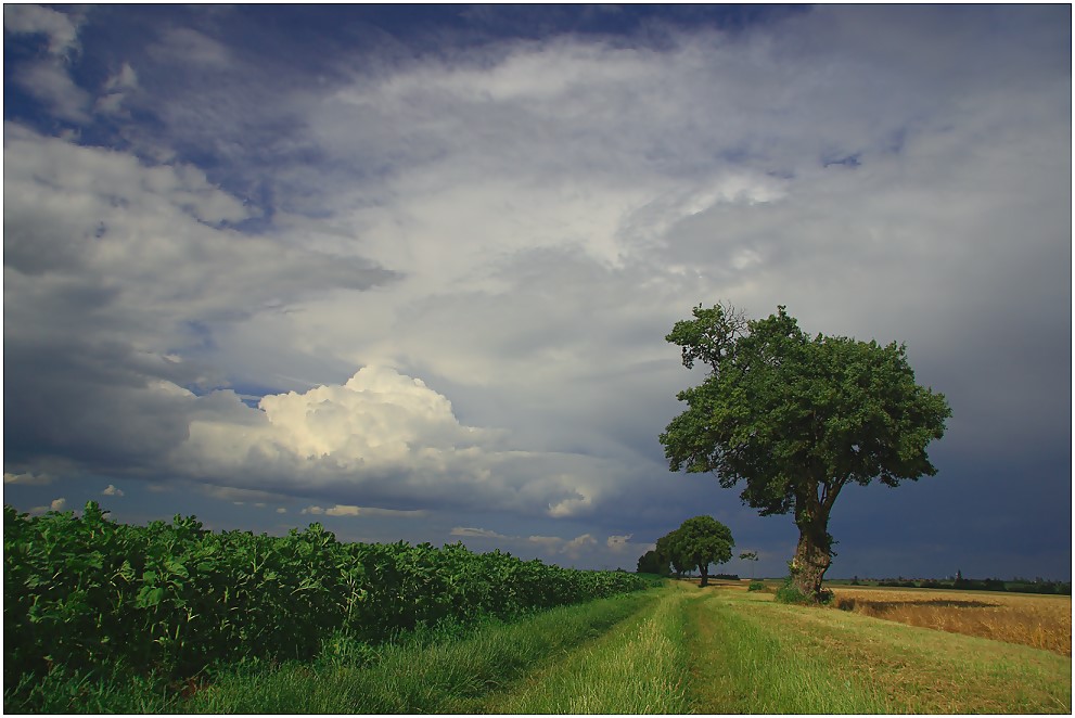 Vor dem Gewitter