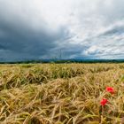 Vor dem Gewitter ...