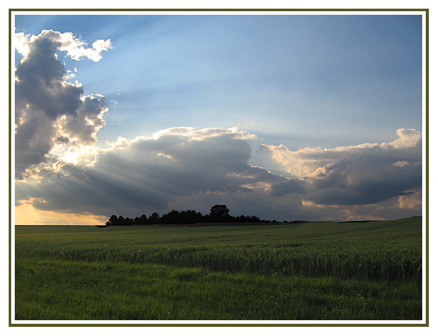 Vor dem Gewitter