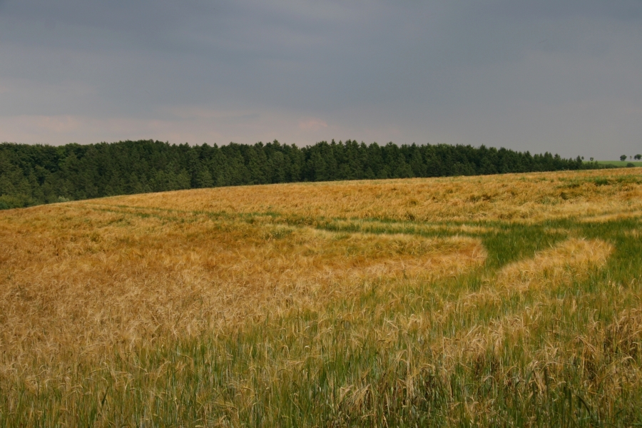 Vor dem Gewitter