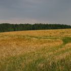 Vor dem Gewitter