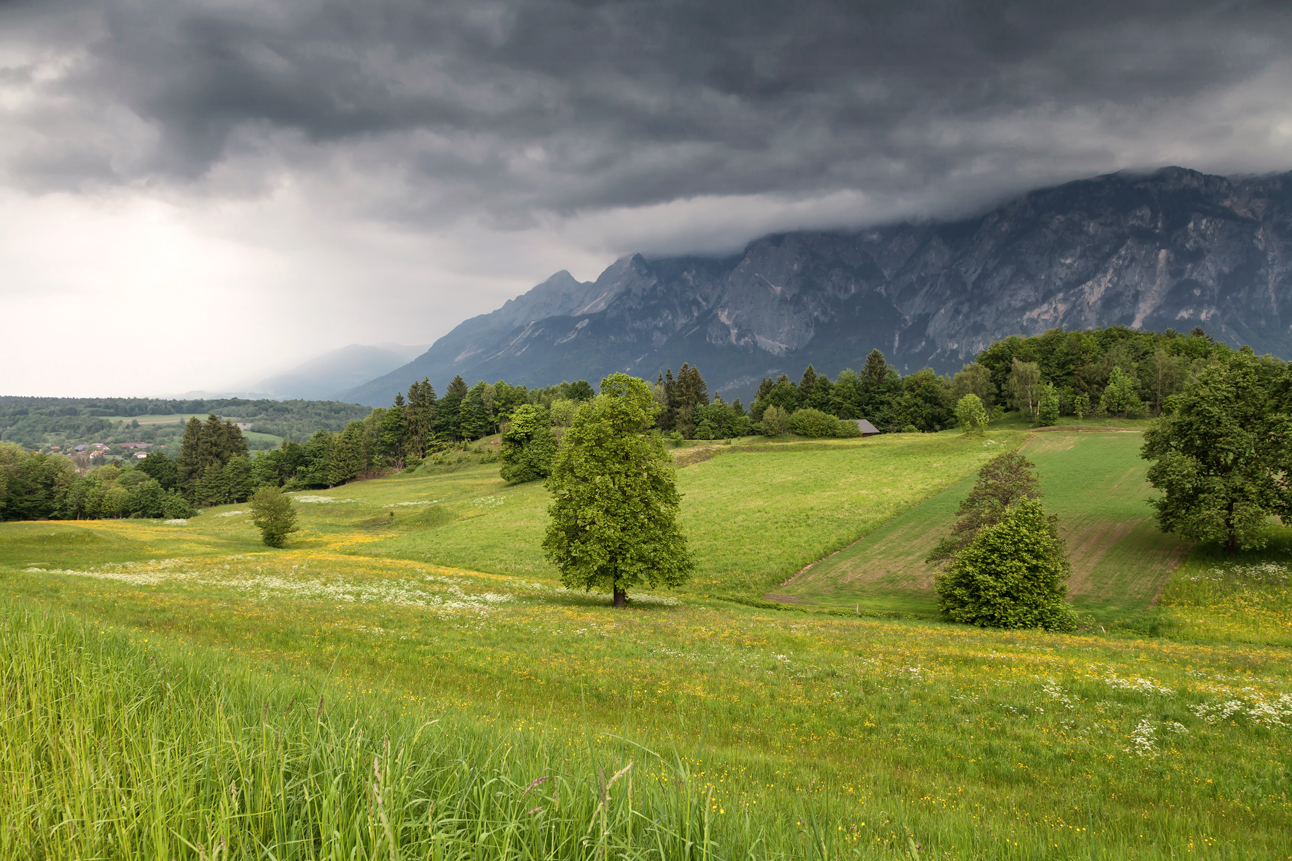 Vor dem Gewitter