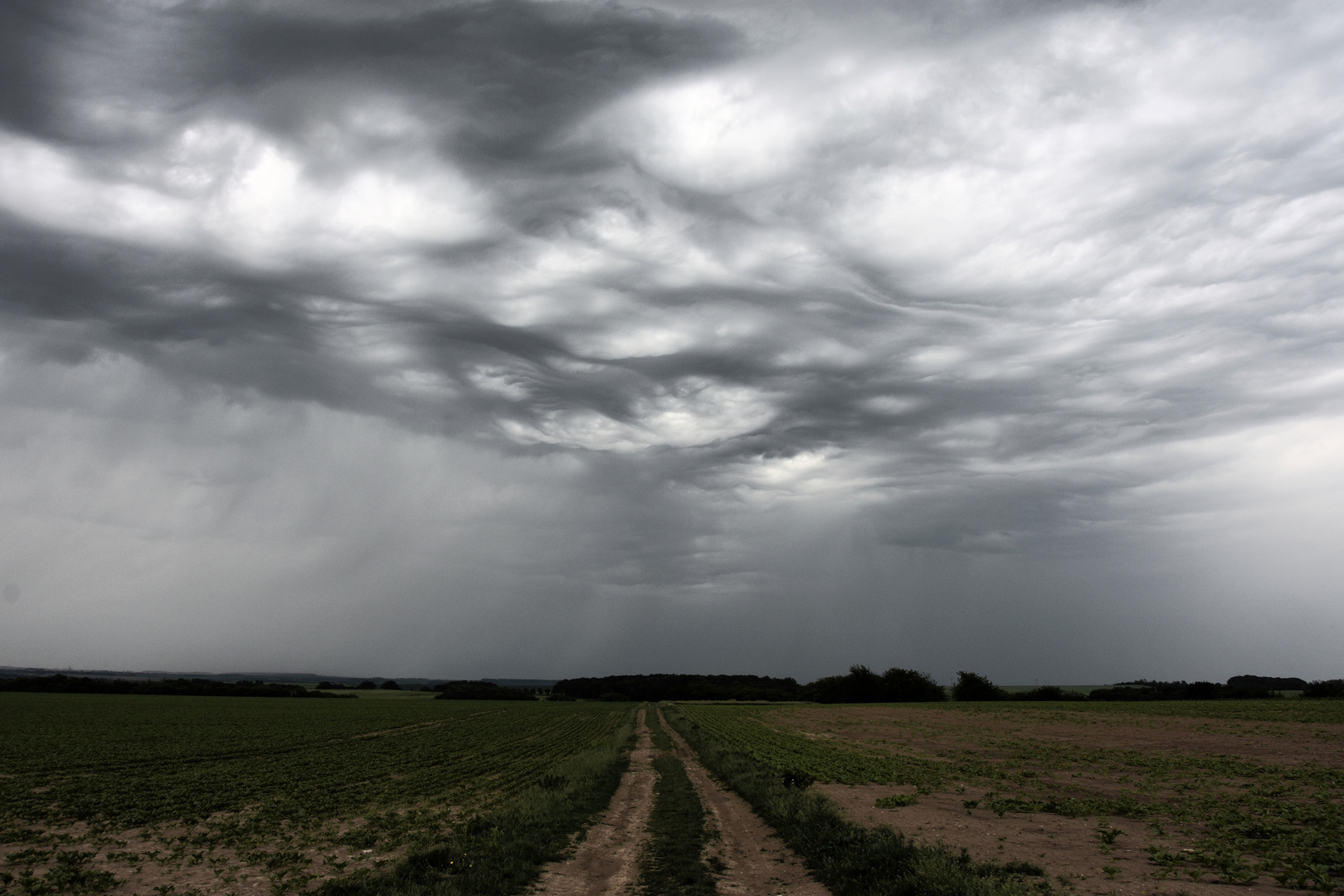 Vor dem Gewitter