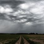 Vor dem Gewitter