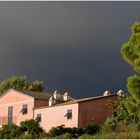 vor dem Gewitter