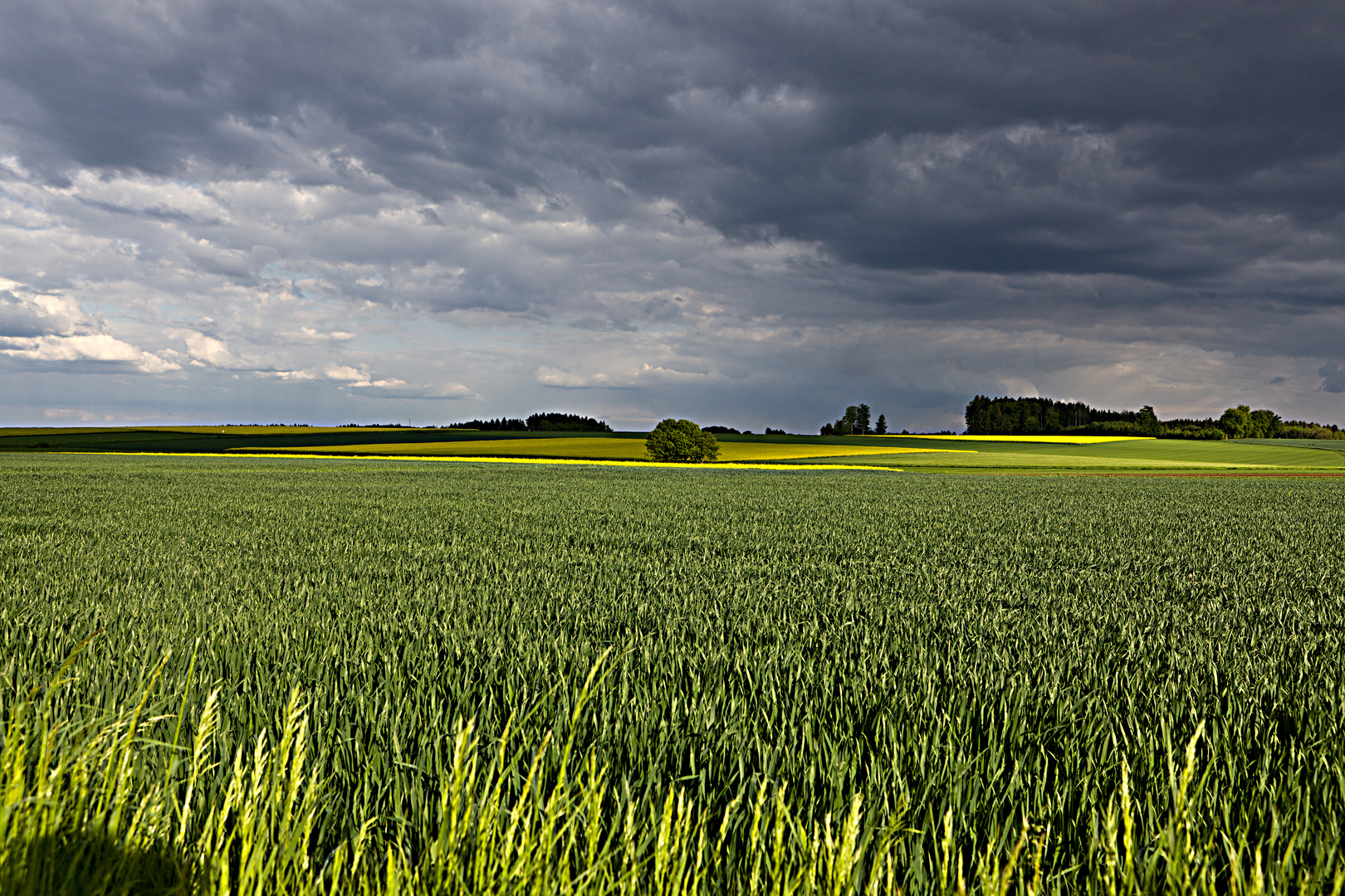 Vor dem Gewitter