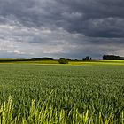 Vor dem Gewitter