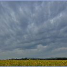 vor dem Gewitter