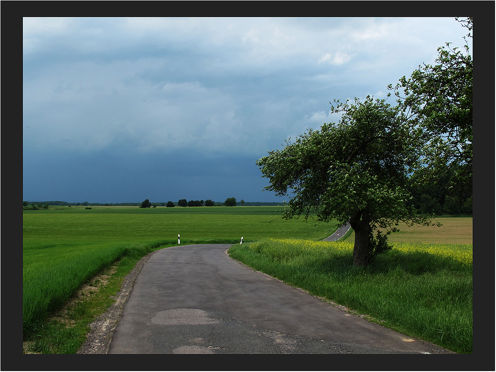 vor dem Gewitter