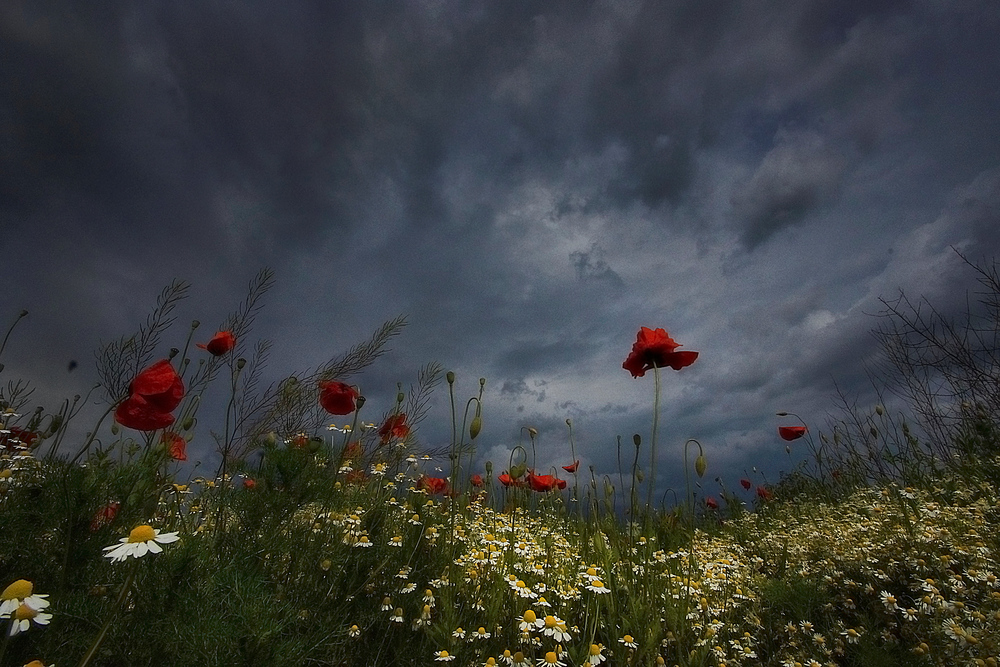 Vor dem Gewitter