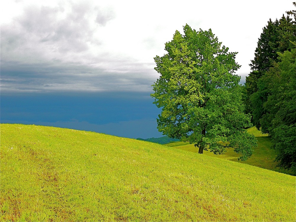 vor dem Gewitter