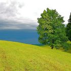 vor dem Gewitter