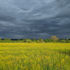 Vor dem Gewitter 