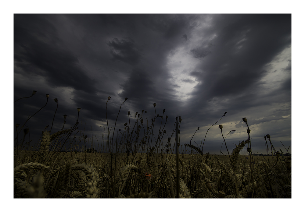 Vor dem Gewitter.