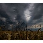 Vor dem Gewitter.