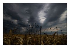 Vor dem Gewitter.