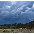 Vor dem Gewitter